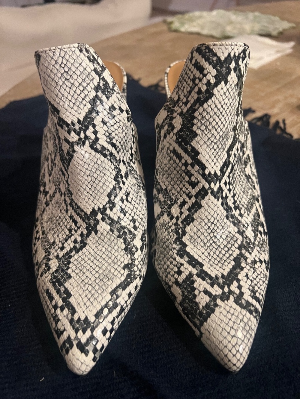 Python Chunky Heel Mule